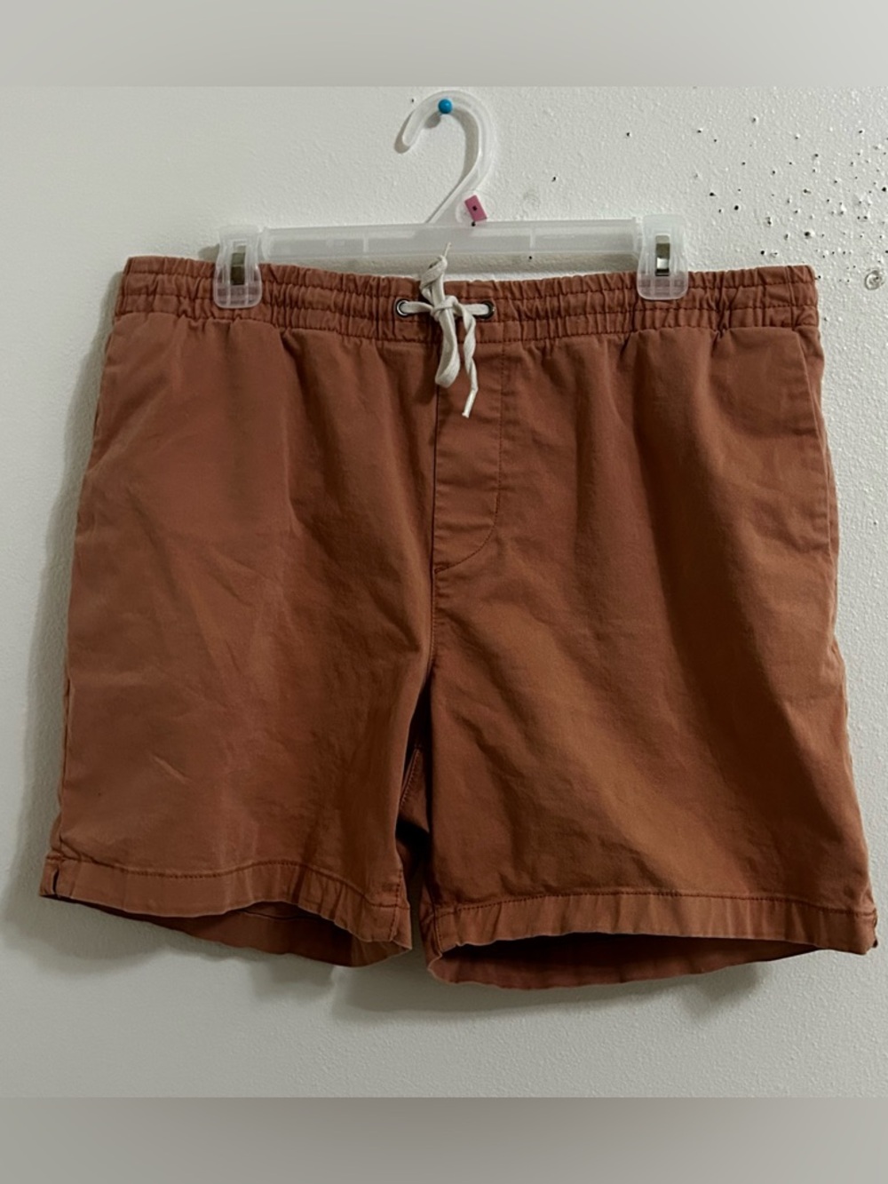 Pacsun salmon/ terracotta 6" inseam volley shorts